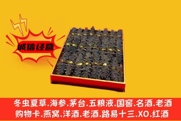 美姑县回收海参